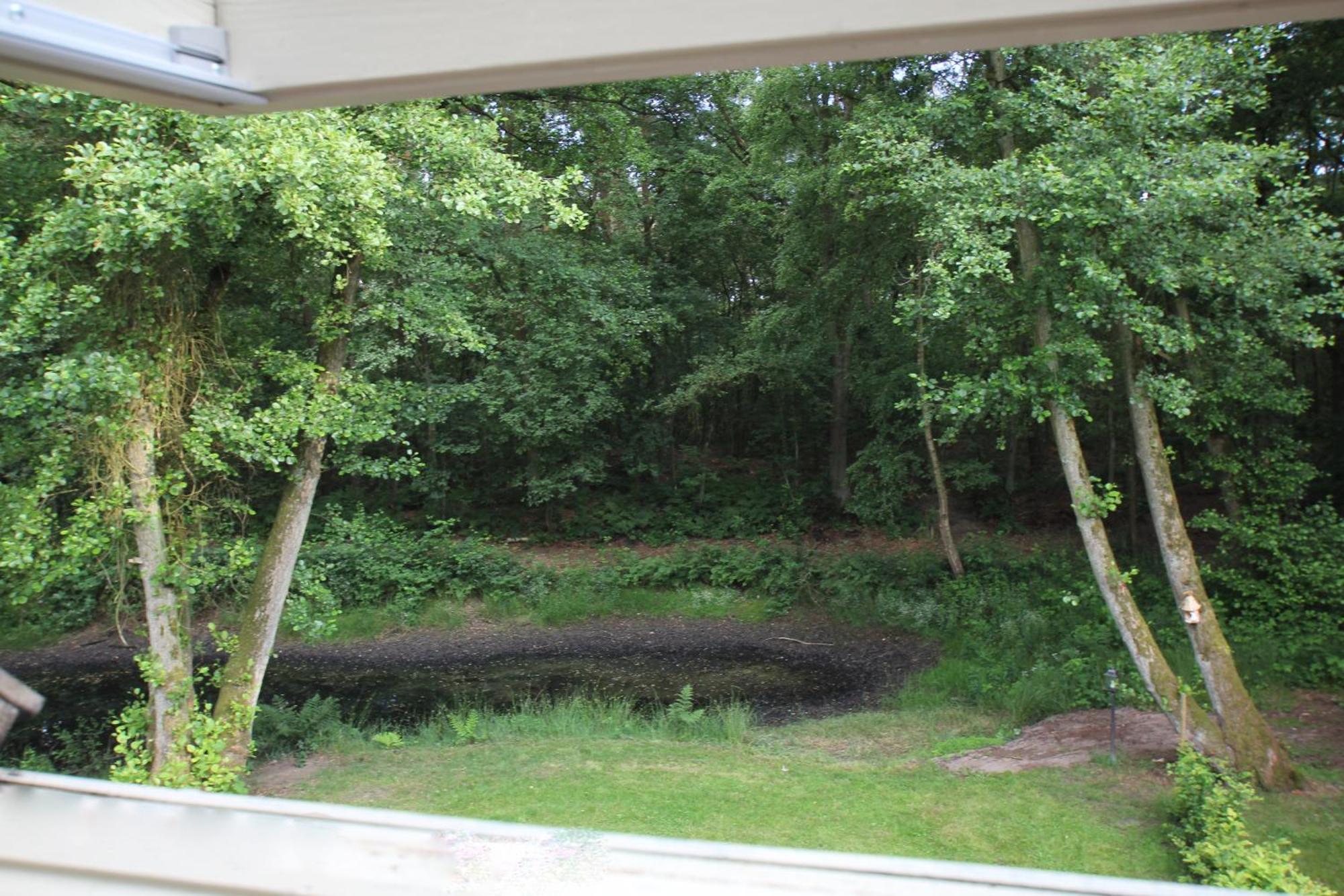 Opglabbeek Landhuisjes Bij De Wouterbron חדר תמונה