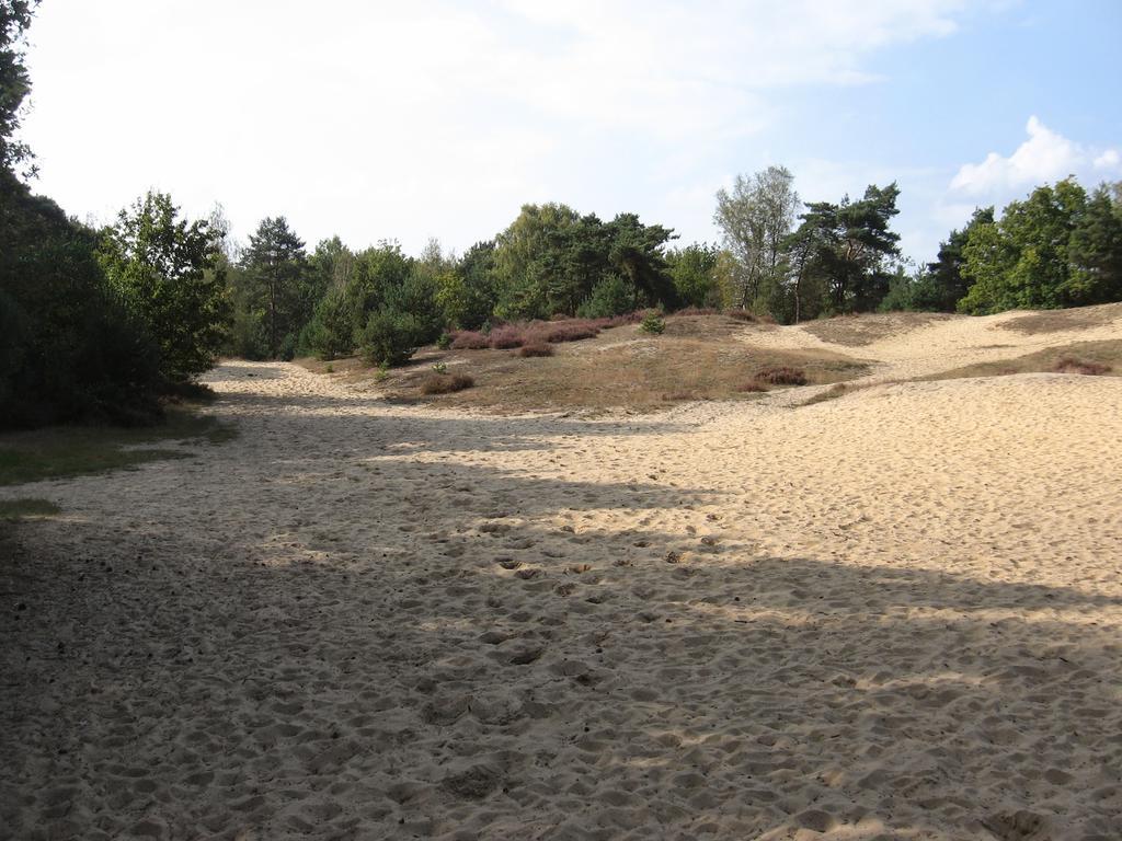 Opglabbeek Landhuisjes Bij De Wouterbron מראה חיצוני תמונה