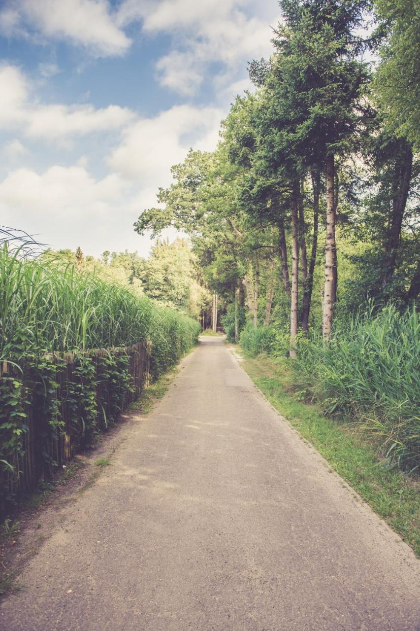 Opglabbeek Landhuisjes Bij De Wouterbron מראה חיצוני תמונה