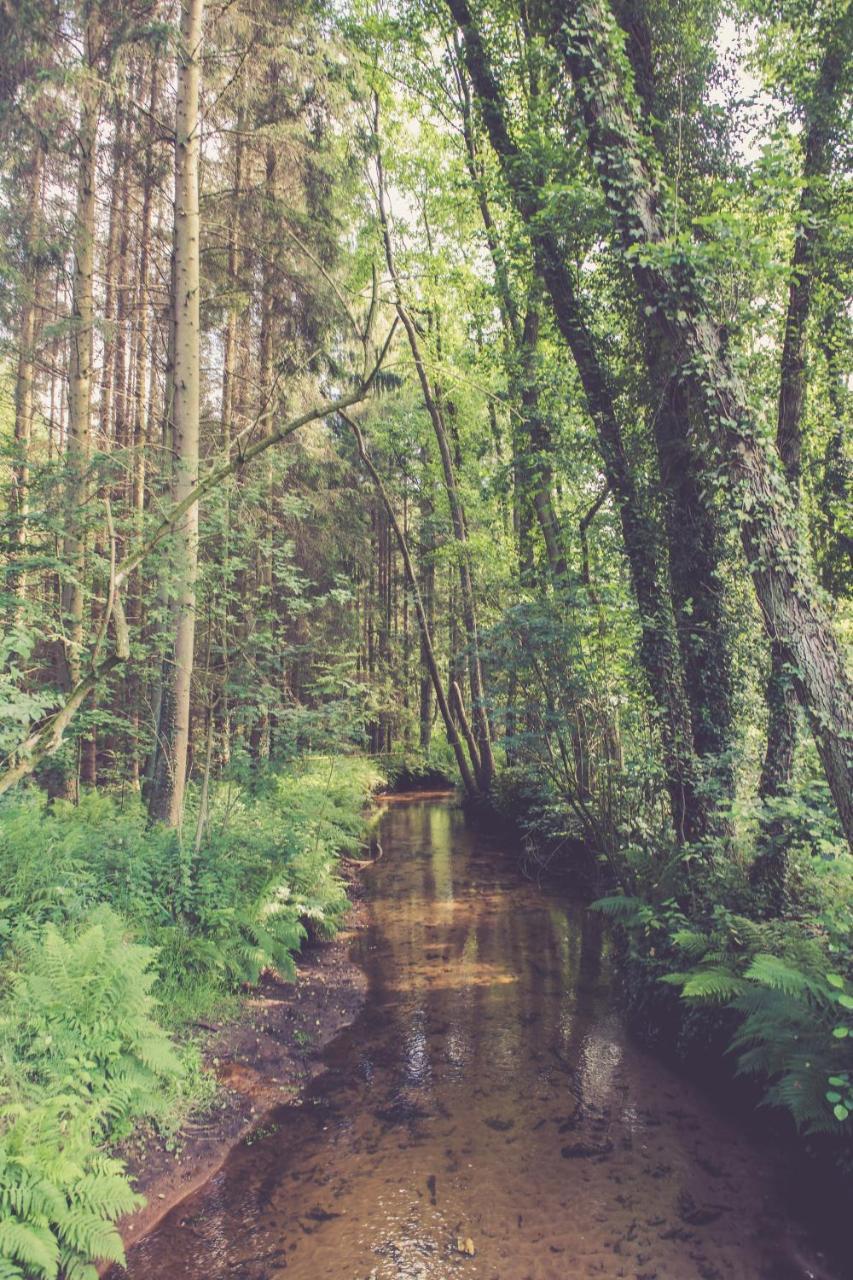 Opglabbeek Landhuisjes Bij De Wouterbron מראה חיצוני תמונה